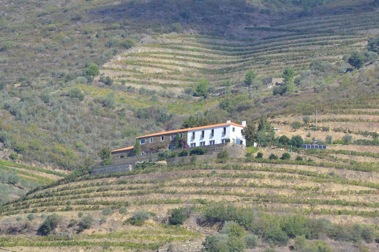 Quinta Da Veiga Bed & Breakfast Covas do Douro Exterior photo