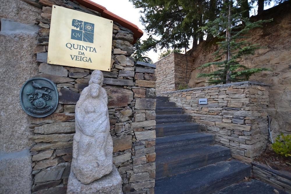 Quinta Da Veiga Bed & Breakfast Covas do Douro Exterior photo
