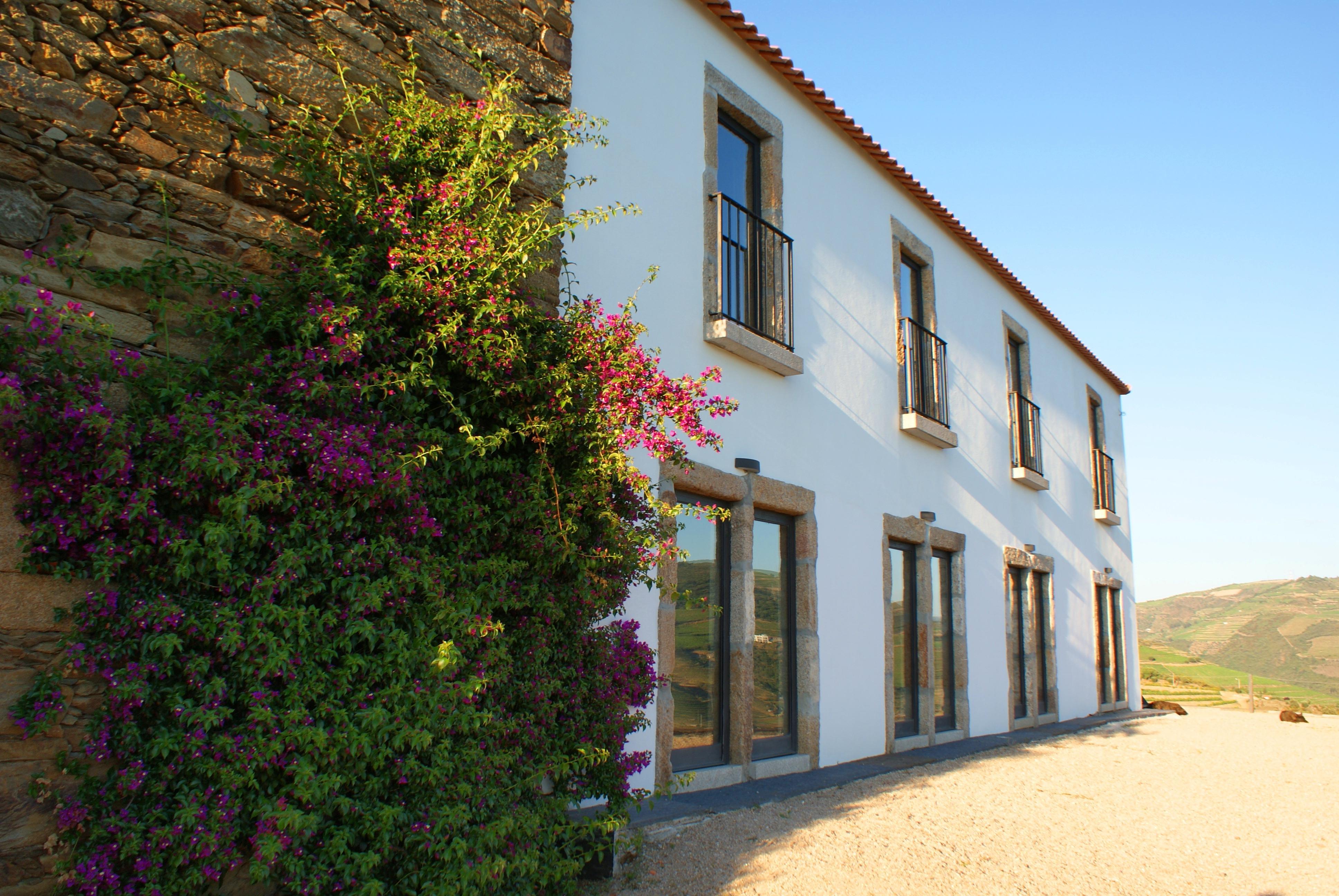 Quinta Da Veiga Bed & Breakfast Covas do Douro Exterior photo