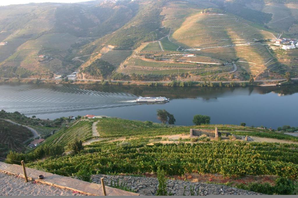 Quinta Da Veiga Bed & Breakfast Covas do Douro Exterior photo
