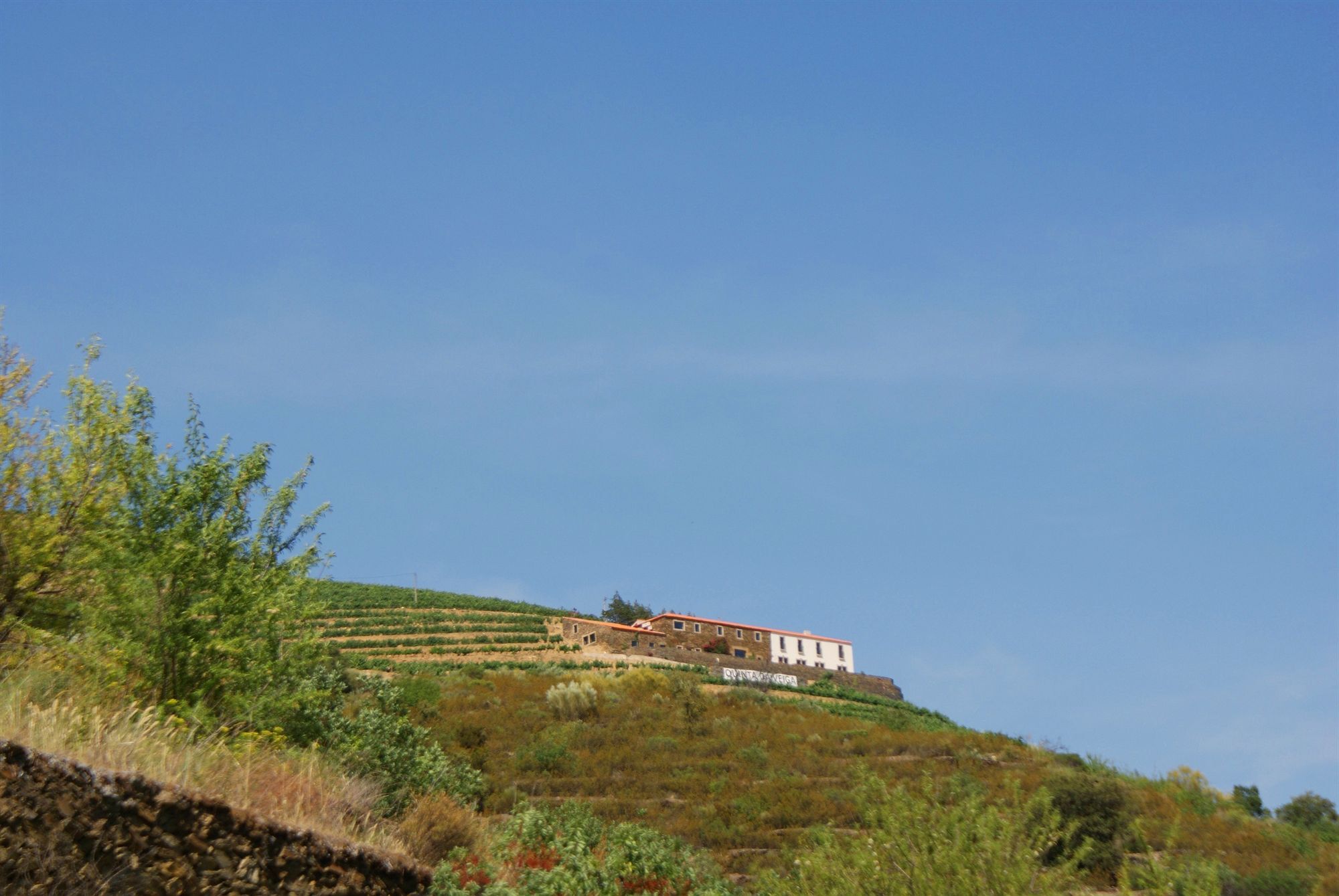 Quinta Da Veiga Bed & Breakfast Covas do Douro Exterior photo